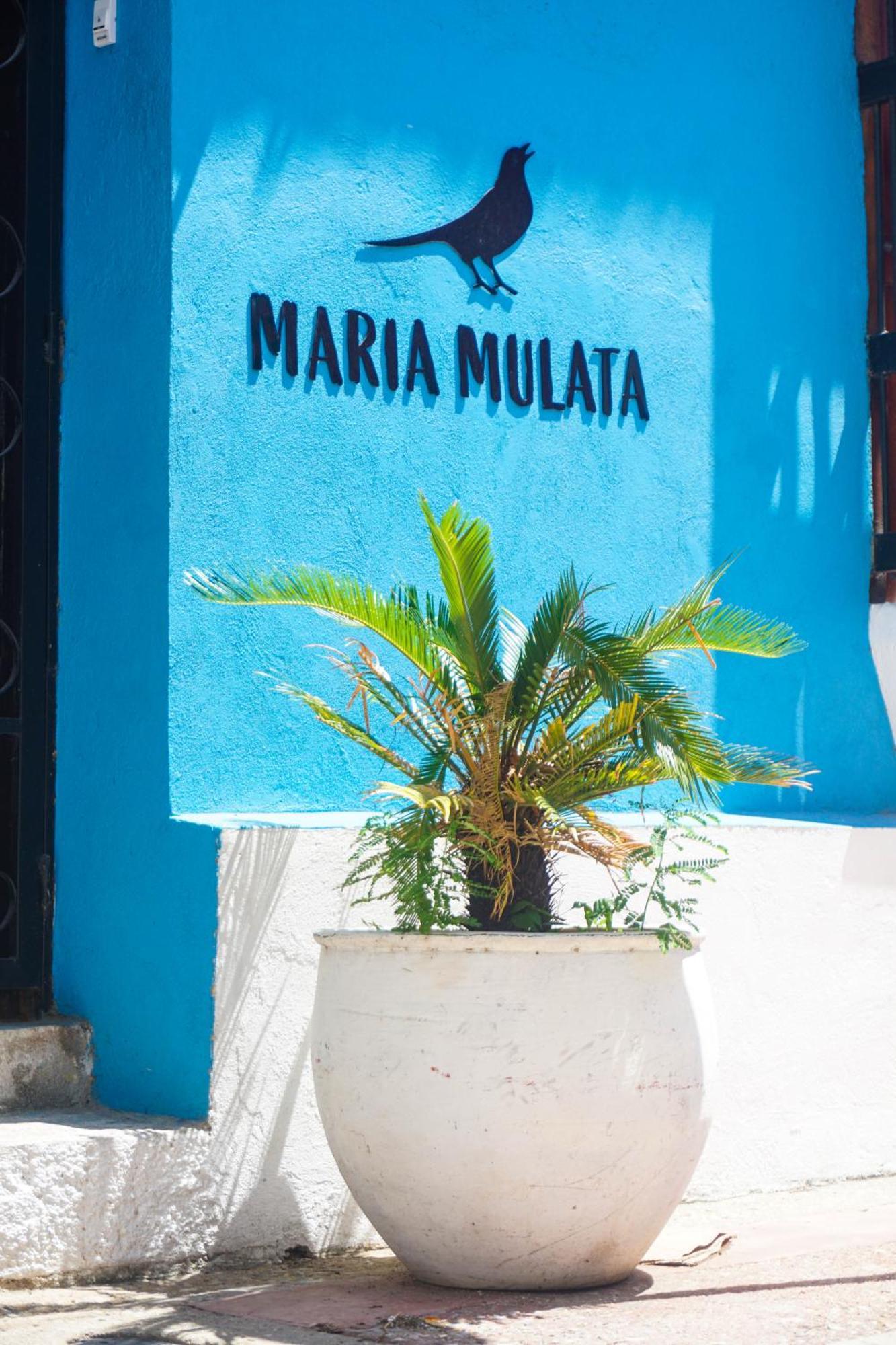 Maria Mulata Boutique Hotel Santa Marta  Ngoại thất bức ảnh